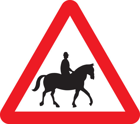 Accompanied horses or ponies